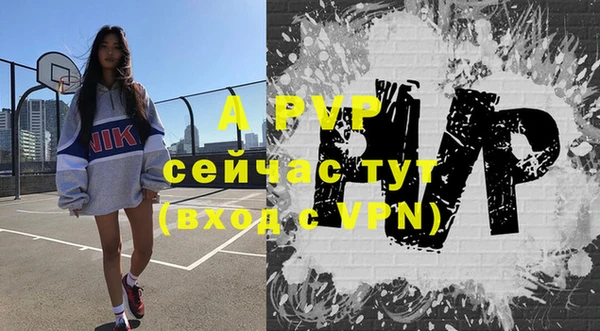 амф Верея