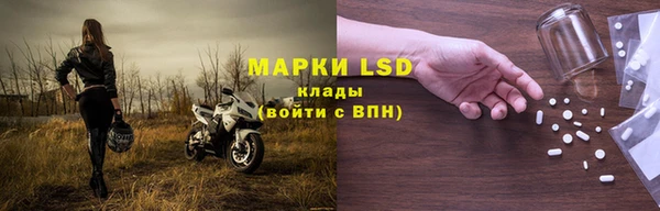амф Верея