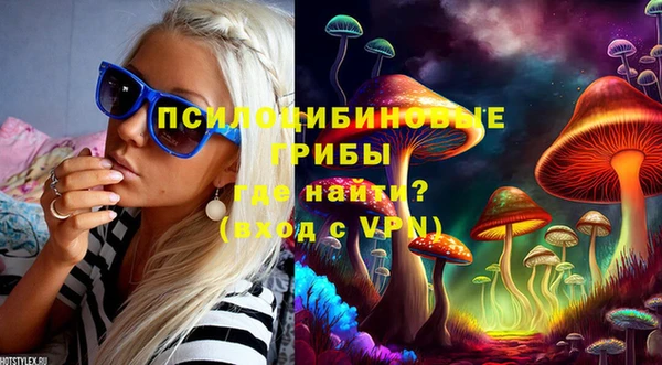 тгк Верхний Тагил