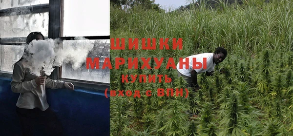 амф Верея