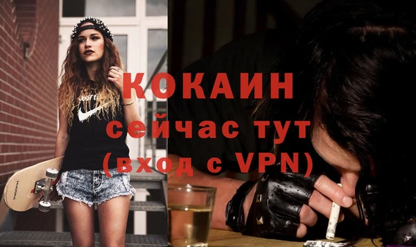 амф Верея