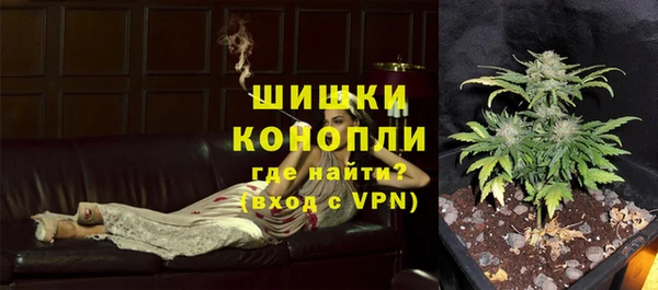 амф Верея