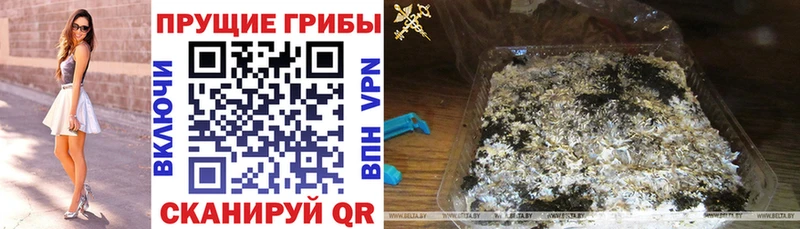 Купить закладки  Билибино  Галлюциногенные грибы прущие грибы 